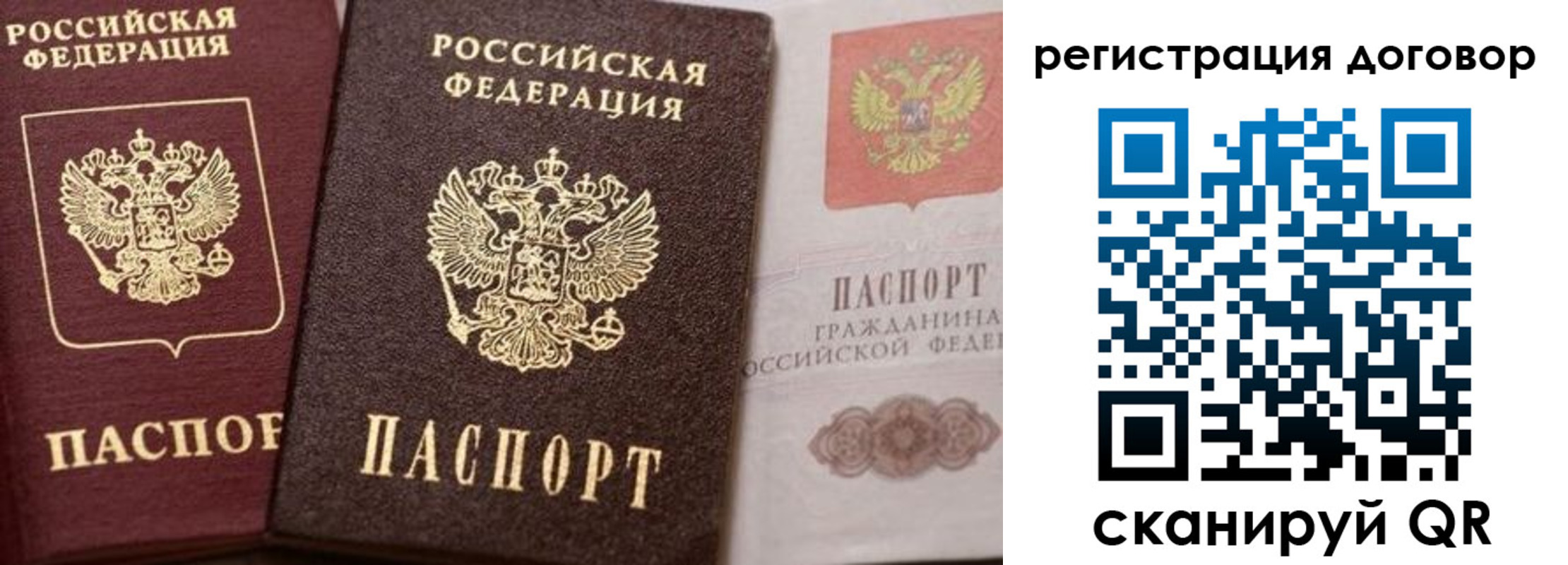 прописка 2025 в Тайге